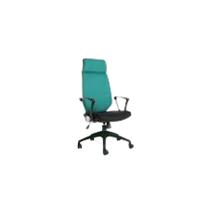 KURSI KANTOR CHAIRMAN - AXUS TS 03201