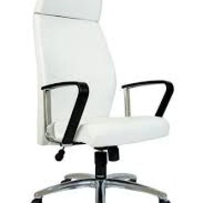 KURSI DIREKTUR CHAIRMAN  - BLITZ PC 10010