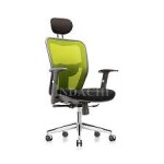 KURSI DIREKTUR INDACHI  - D - 4800 AL WA