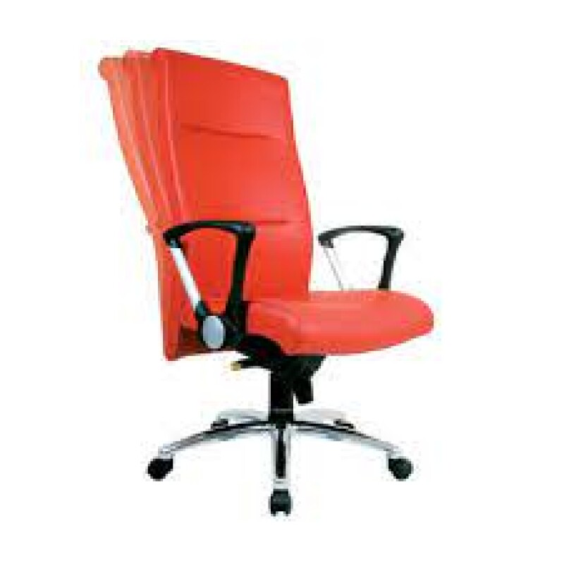 KURSI DIREKTUR CHAIRMAN  - FLEX  EC 10