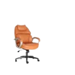 KURSI DIREKTUR CHAIRMAN  - MAXIMO PC 9730 AC
